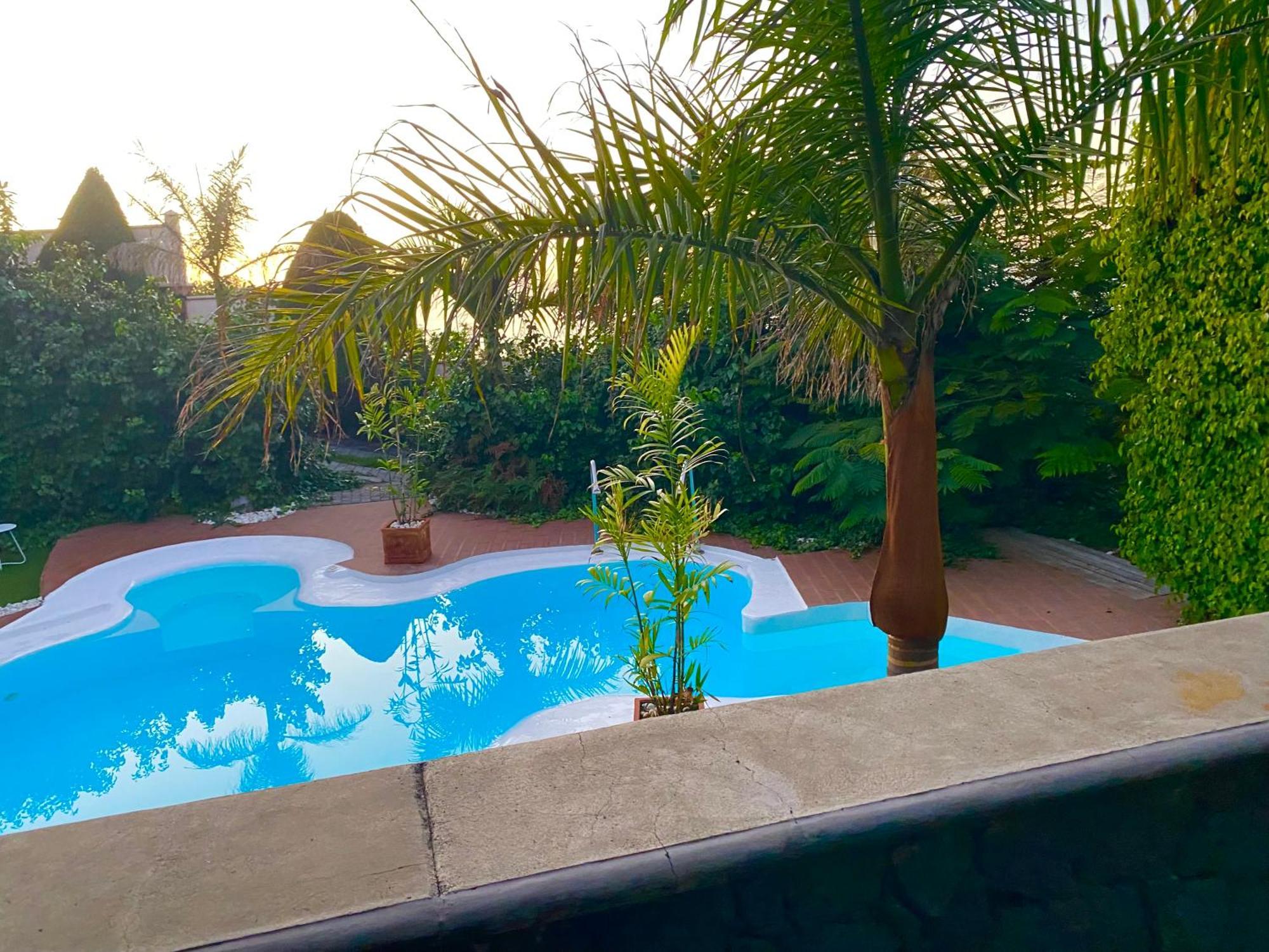 Estudio Lissy Jedey المظهر الخارجي الصورة